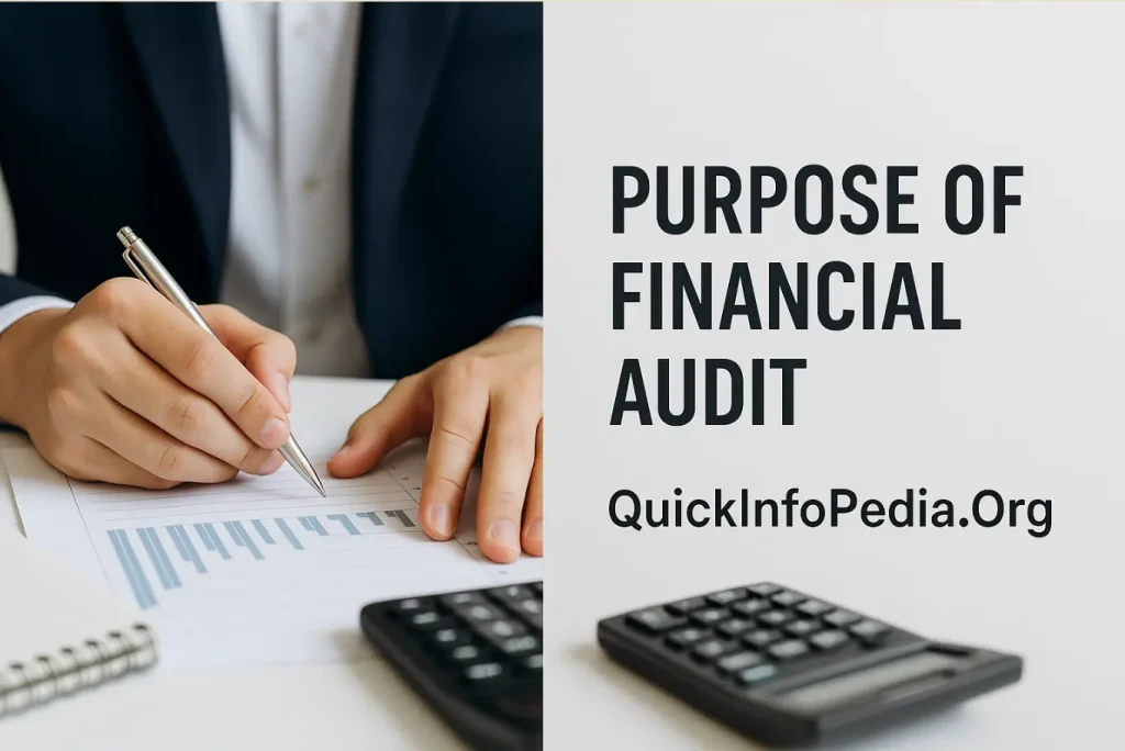 financial audit meaning